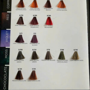 Màu nhuộm Goldwin cao cấp 100g - Image 5